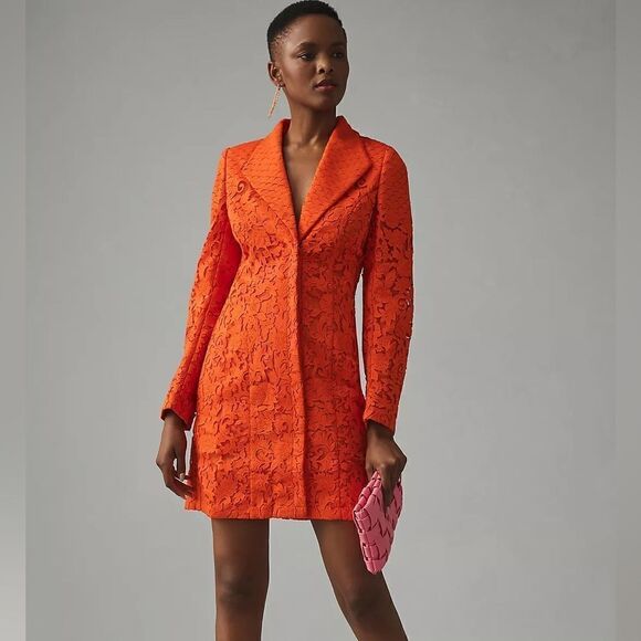 Anthropologie Pankaj & Nidhi Laser Cut Embroidered Blazer Dress NWT - Picture 1 of 16